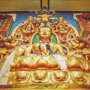 Abode-DHAKPO2