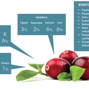 Berry,-berry-good