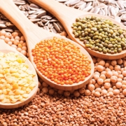 Food-to-fight-cancer5