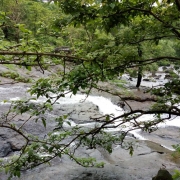 Mhatarichi-Khind