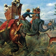 Postcard depicting a tiger hunt