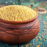 Magnificent-millets-bajra