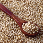 Magnificent-millets-jowar