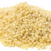 Magnificent-millets-sama