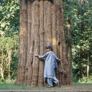 Nature-meets-culture4