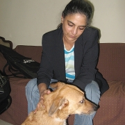 Pet-pursuits3