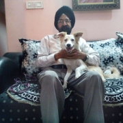 Pet-pursuits7