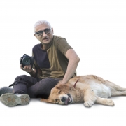 Pet-pursuits9