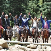 Silver-nomads2