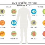 The-legacy-of-life2