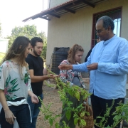 Tasting-Cinnamon-flavoured-Tulasi