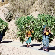 The-story-of-the-kumaon5